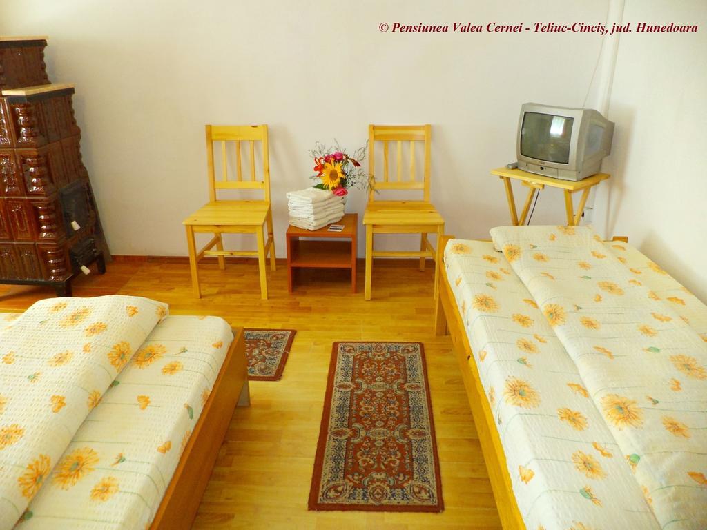 Pensiunea Valea Cernei 下泰柳库 客房 照片
