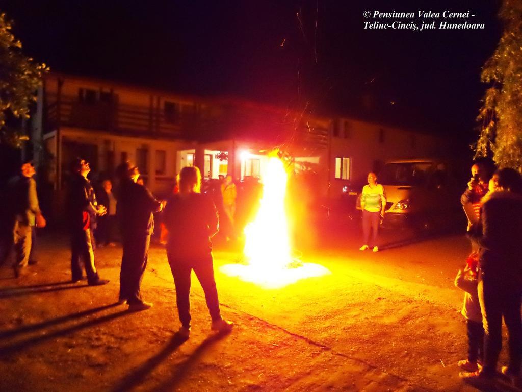 Pensiunea Valea Cernei 下泰柳库 外观 照片