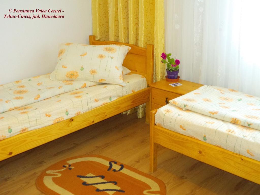 Pensiunea Valea Cernei 下泰柳库 客房 照片