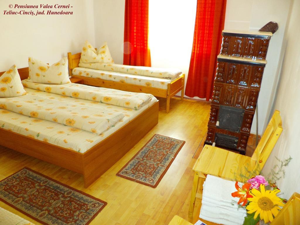 Pensiunea Valea Cernei 下泰柳库 客房 照片