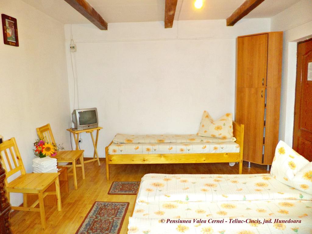 Pensiunea Valea Cernei 下泰柳库 客房 照片