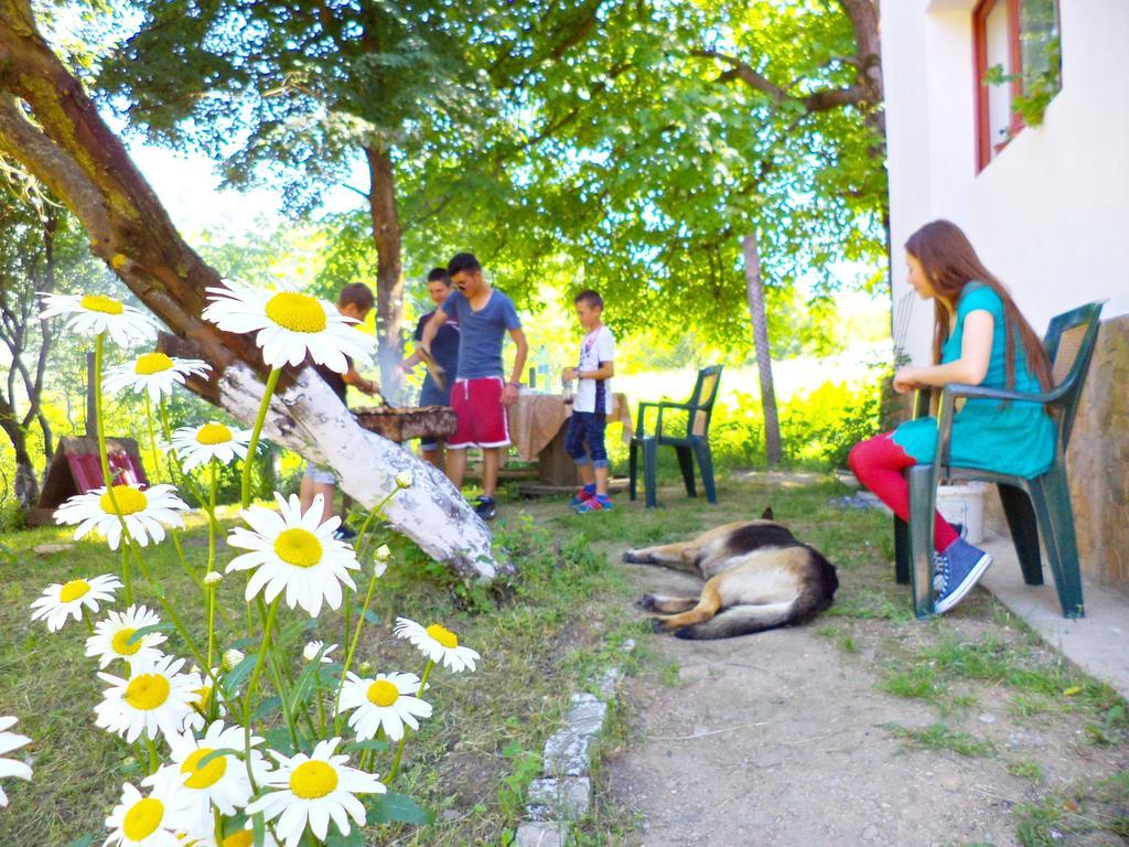 Pensiunea Valea Cernei 下泰柳库 外观 照片