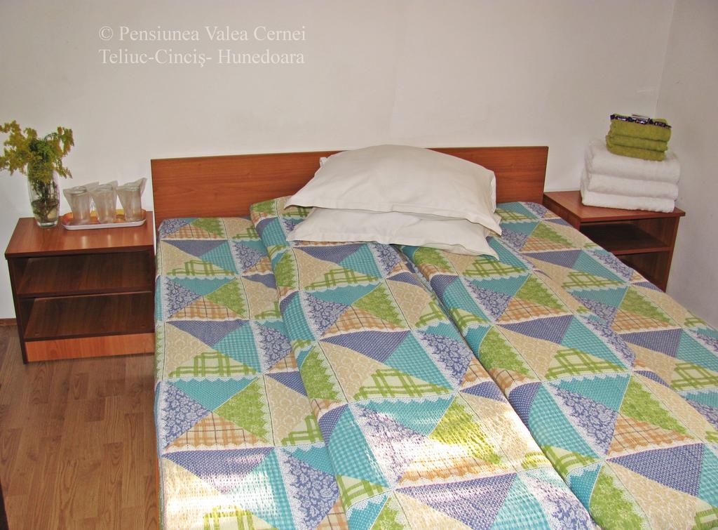 Pensiunea Valea Cernei 下泰柳库 外观 照片